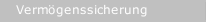 Verm&ouml;genssicherung