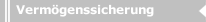 Verm&ouml;genssicherung